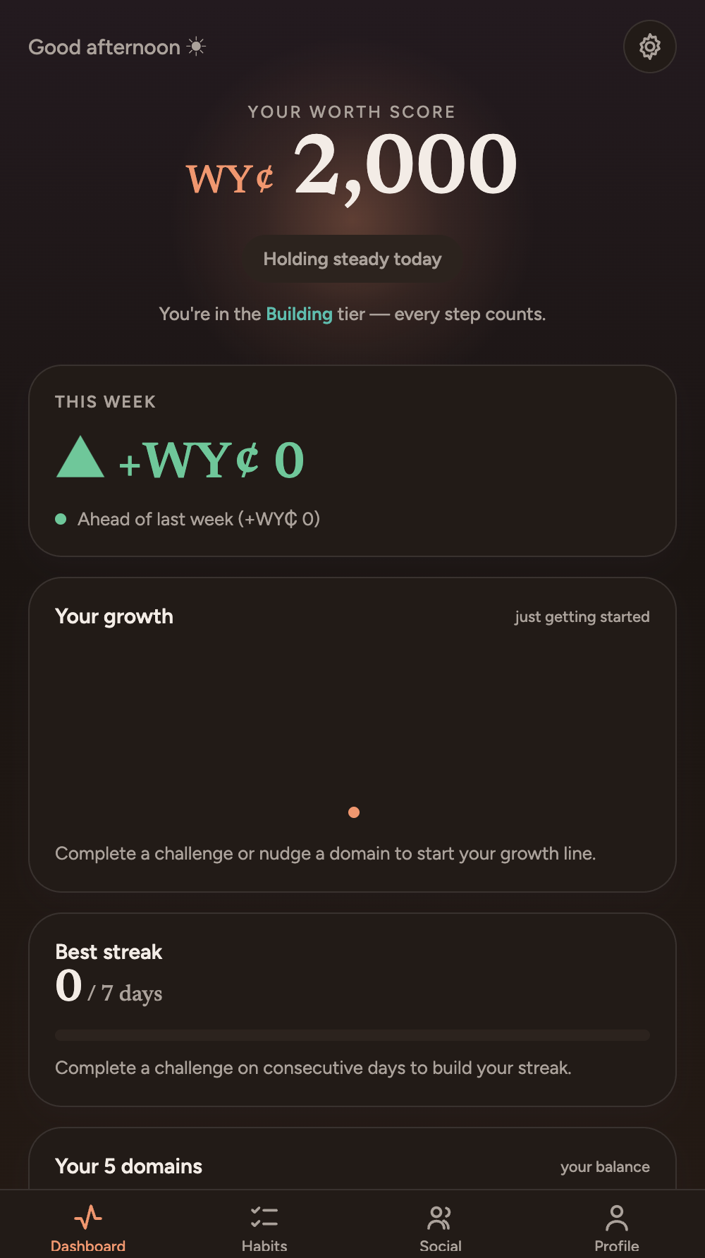 The Worth Yourself dashboard showing a Worth Score